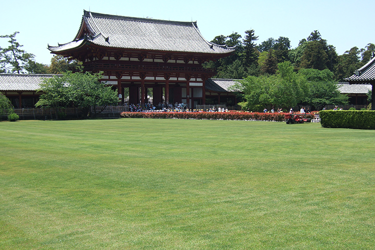 東大寺大仏殿の芝生管理